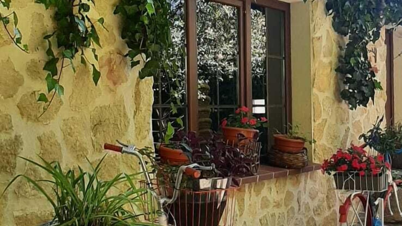 Photo of Outdoor in Madrona