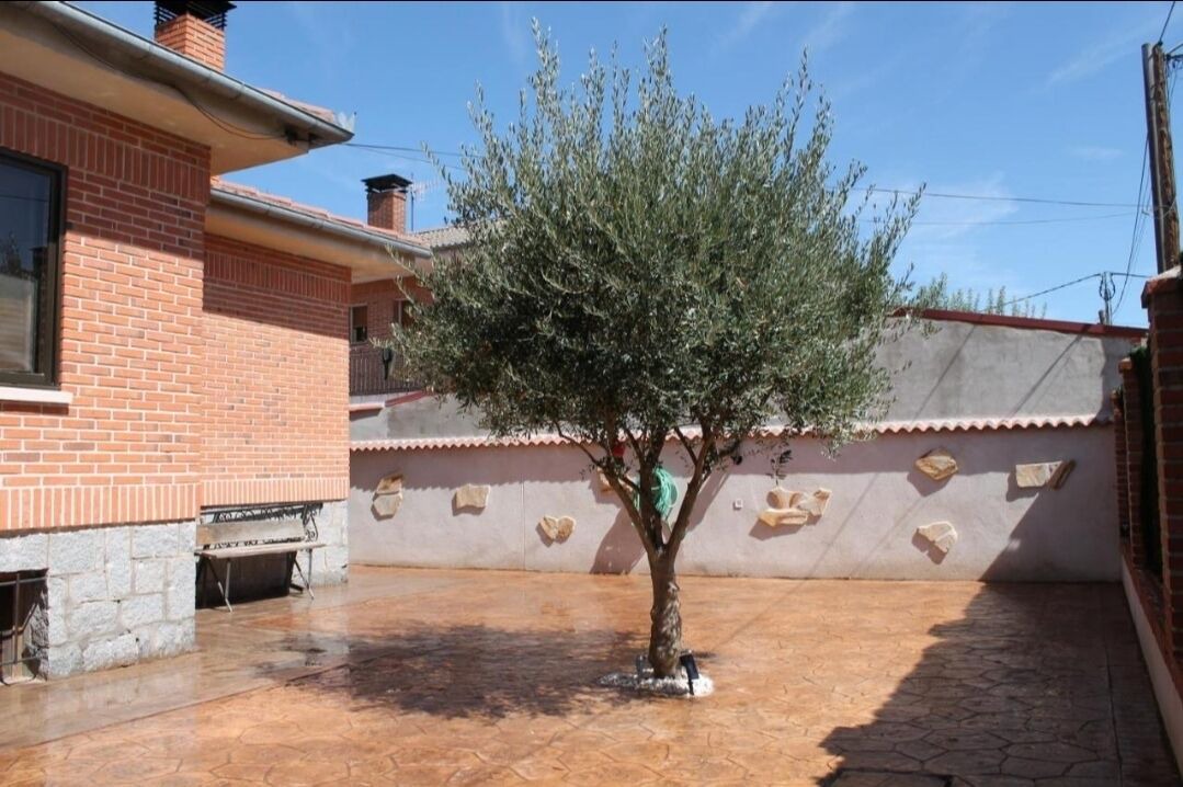 Photo of Outdoor in Coca