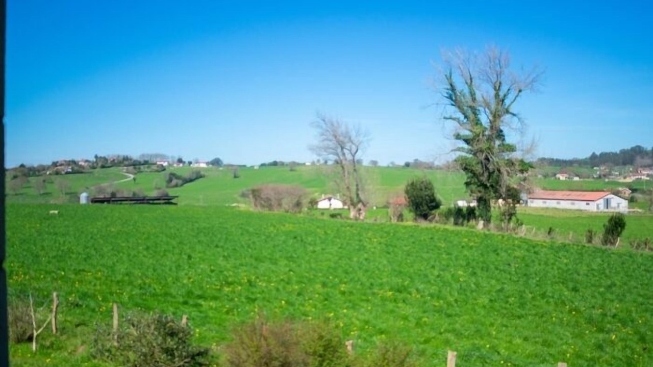 Photo of Outdoor in Ribamontan al Monte