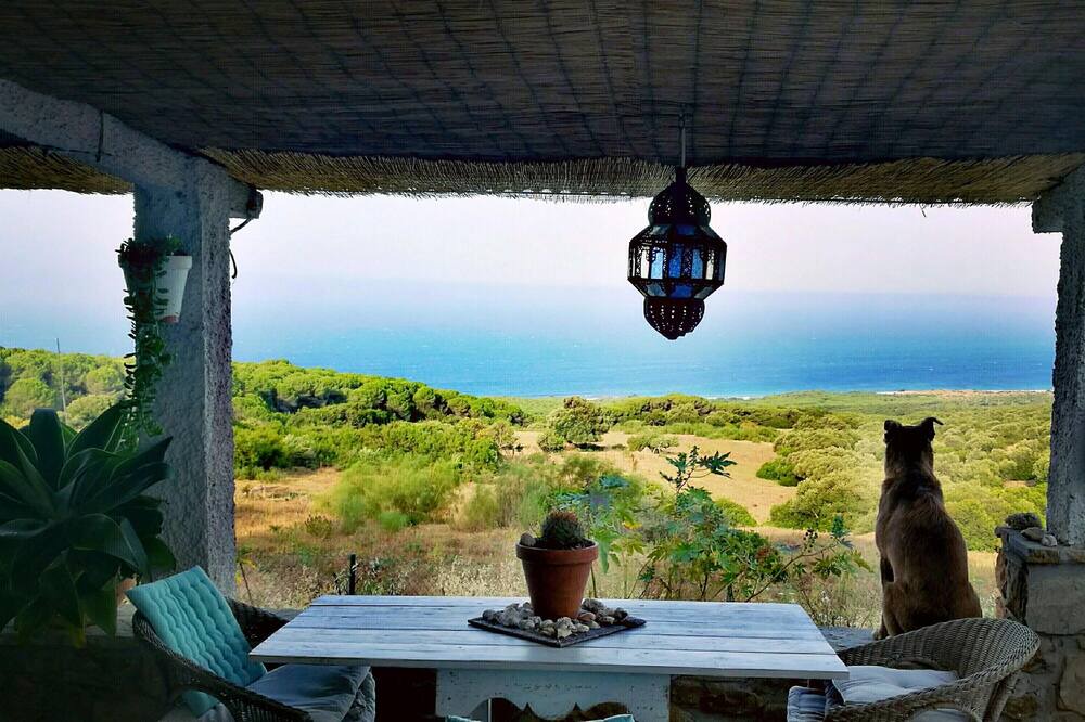 Photo of Others in Bolonia