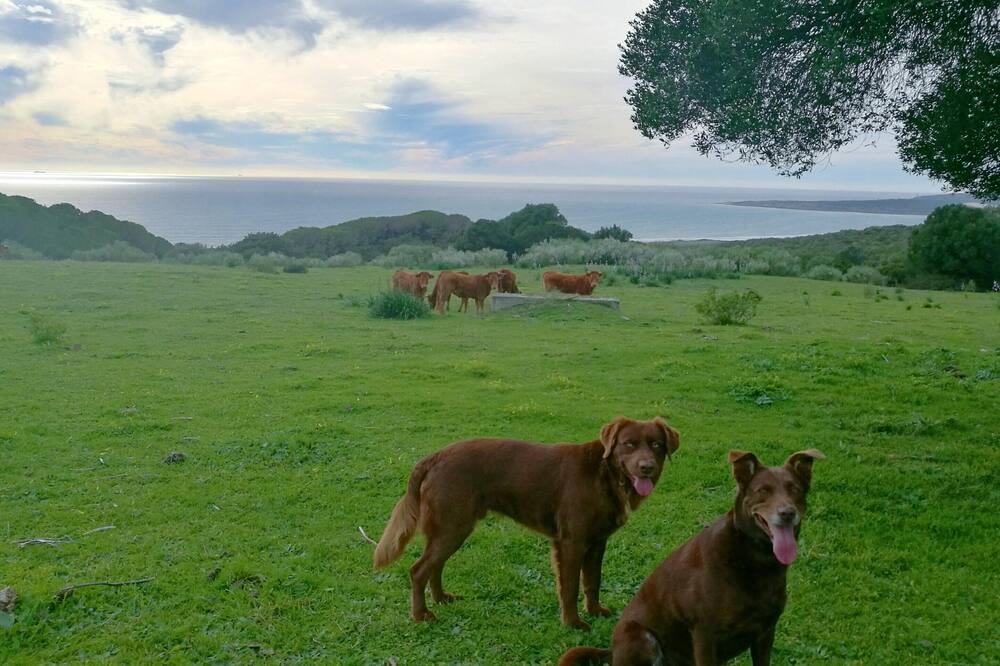 Photo of Others in Bolonia