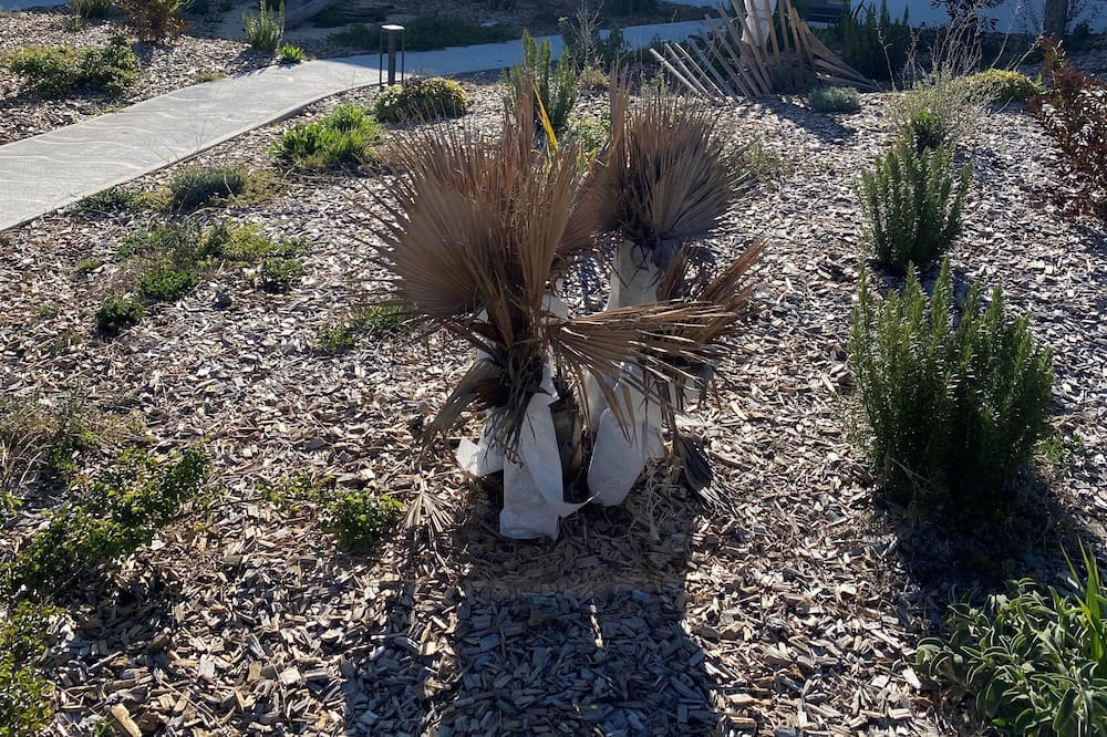 Photo of Outdoor in Ruoms