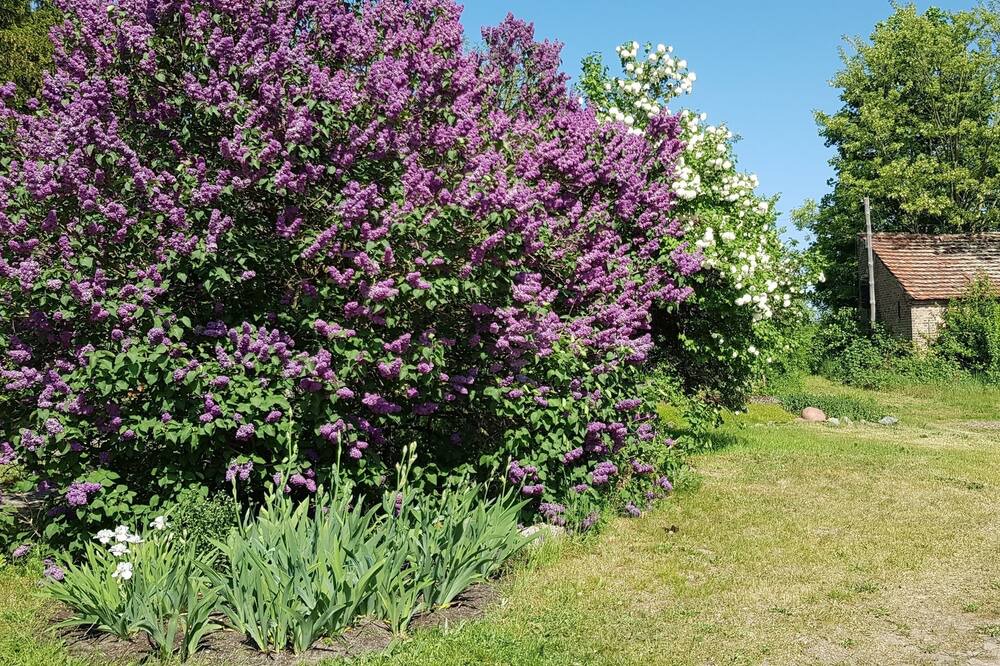 Photo of Outdoor in Kloster Lehnin