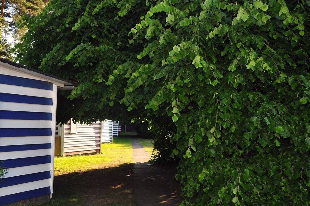 Photo of Outdoor in Freest