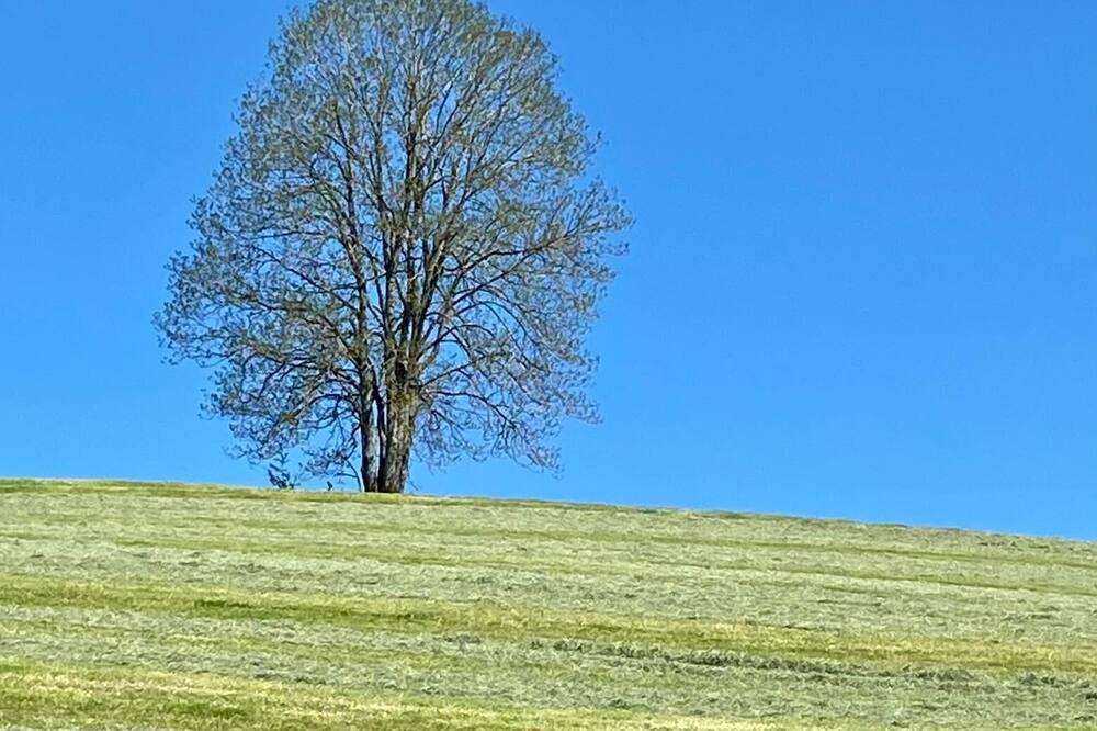 Photo of Outdoor in La Tour-du-Meix