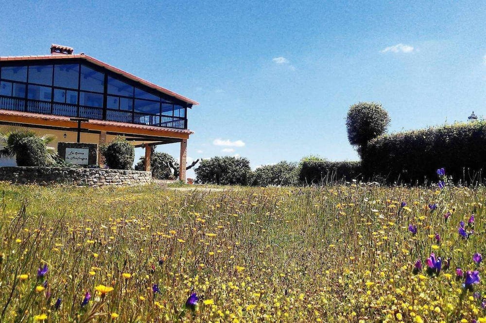Photo of Outdoor in Serradilla