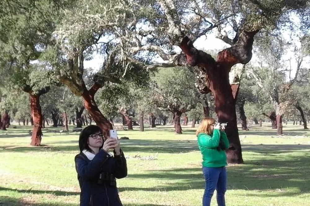 Photo of Others in Serradilla