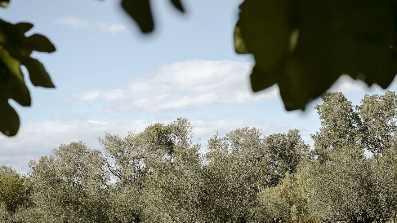 Photo of Outdoor in Tarascon