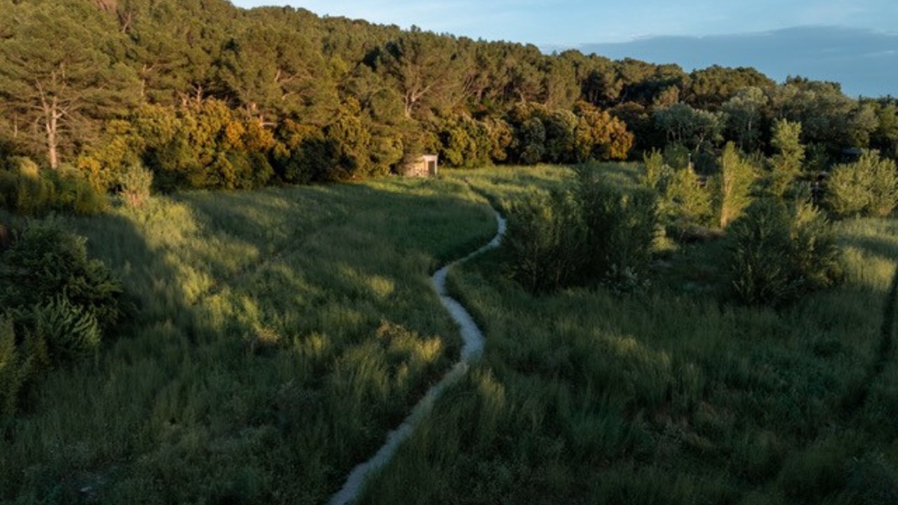 Photo of Others in Tarascon