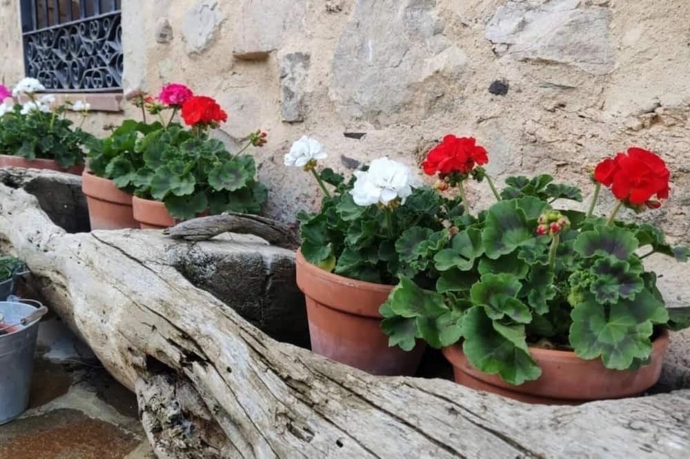 Photo of Outdoor in Tabladillo