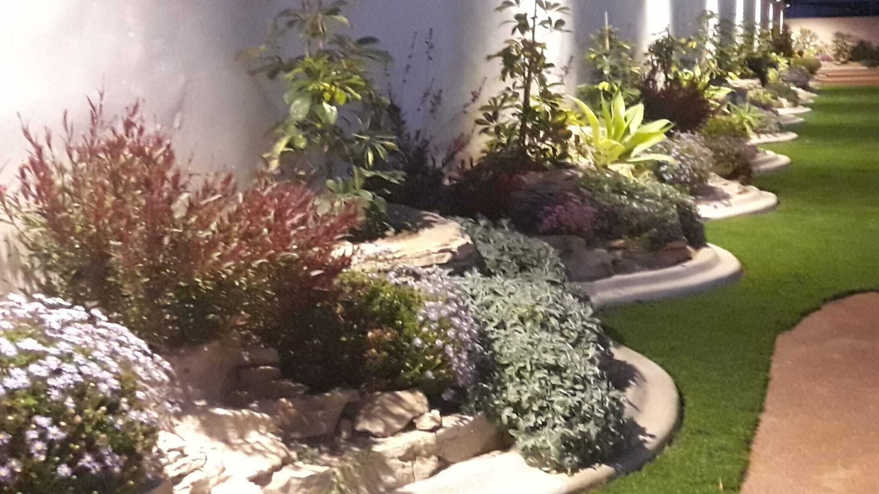 Photo of Outdoor in Hoya de los Patos