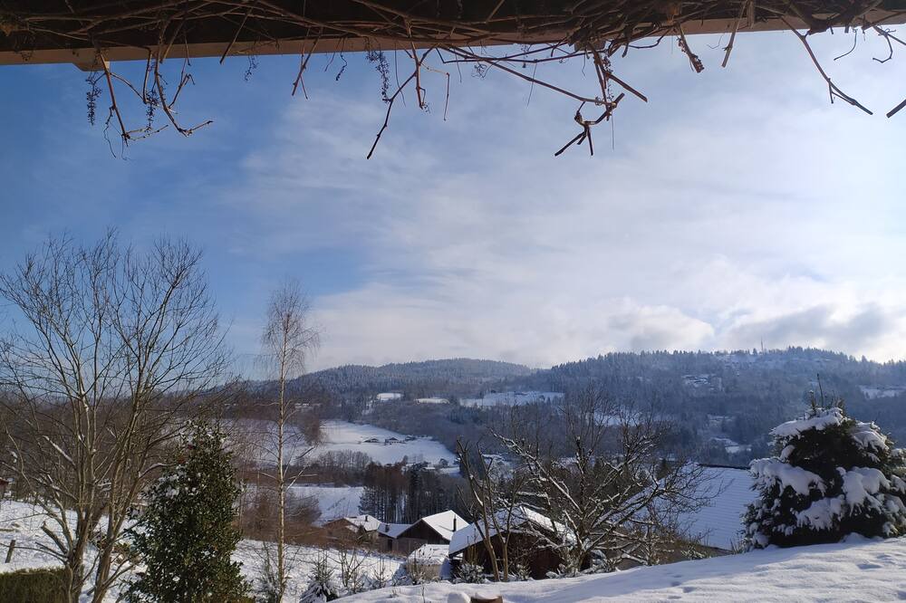 Photo of Others in La Forge