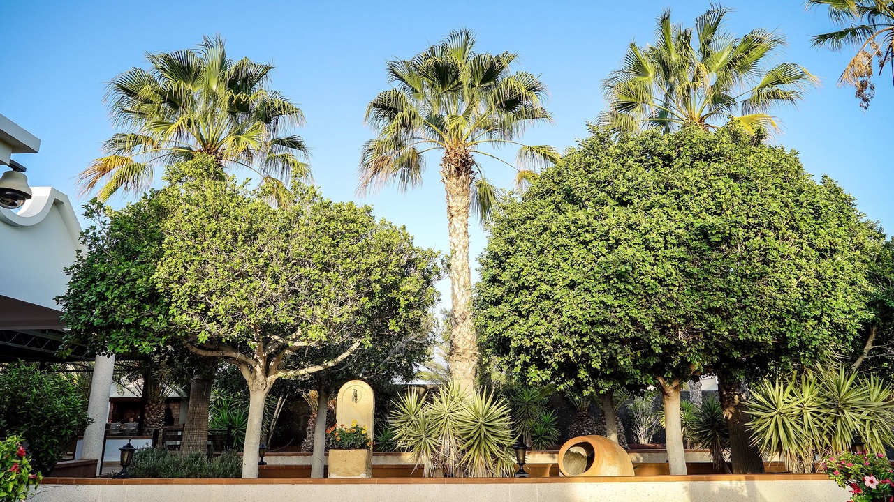Photo of Outdoor in Puerto Calero