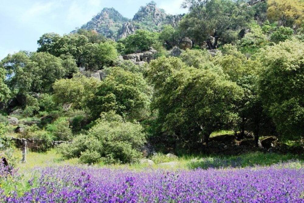 Photo of Outdoor in Montanchez