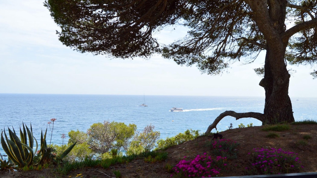 Photo of Outdoor in Tossa de Mar