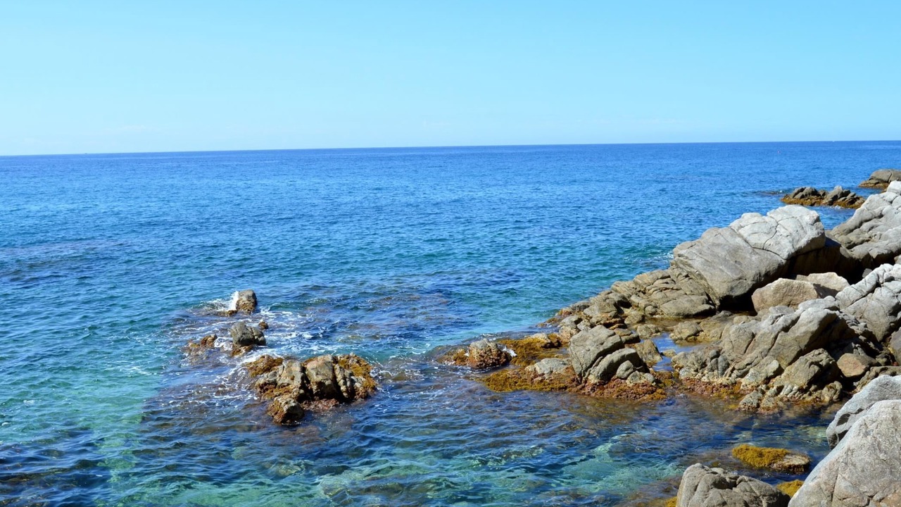 Photo of Others in Tossa de Mar