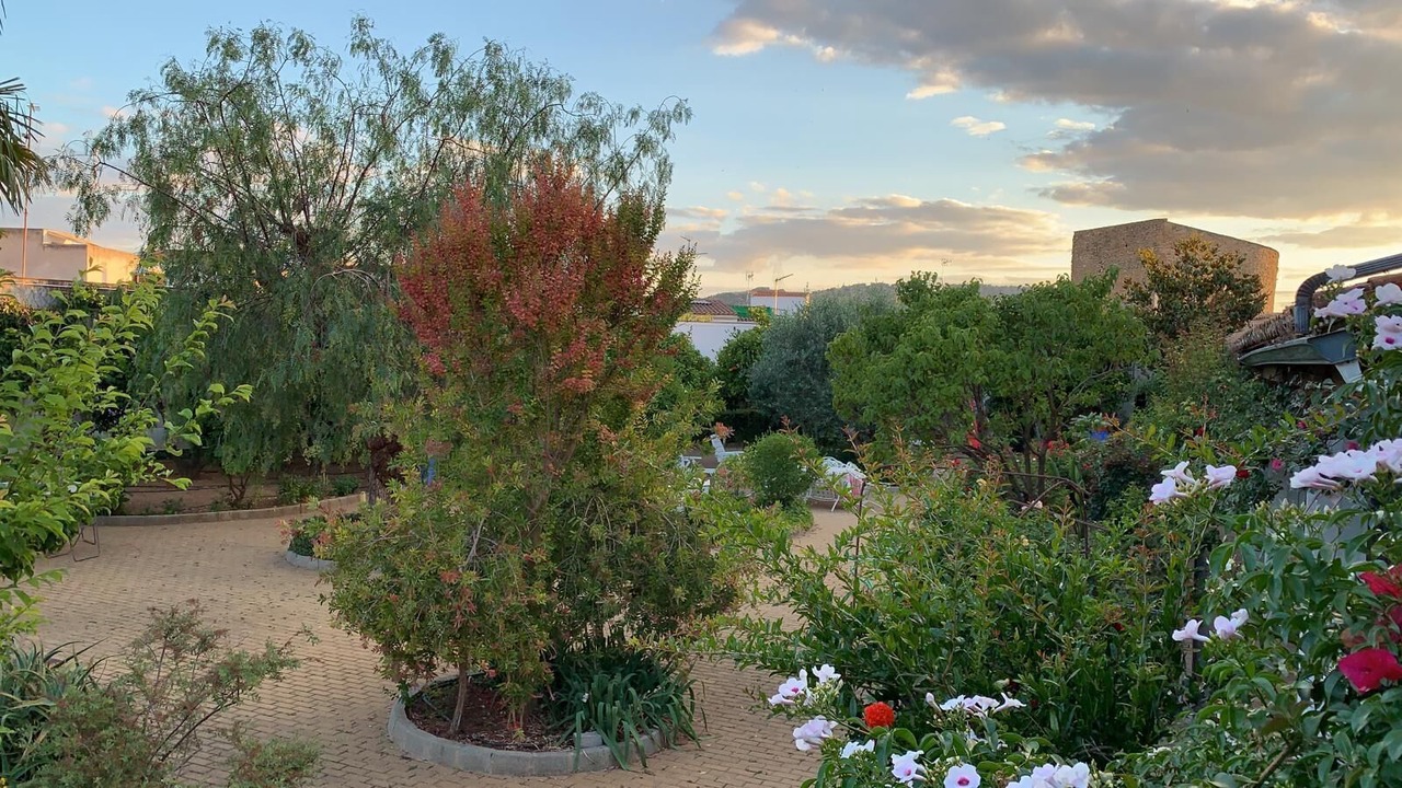 Photo of Outdoor in Zafra Old Town