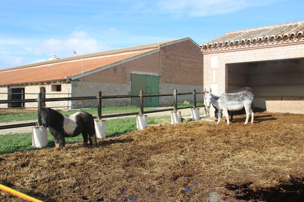 Photo of Others in Orgaz