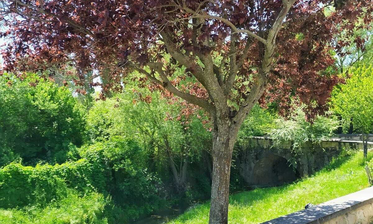 Photo of Outdoor in Poveda de la Sierra