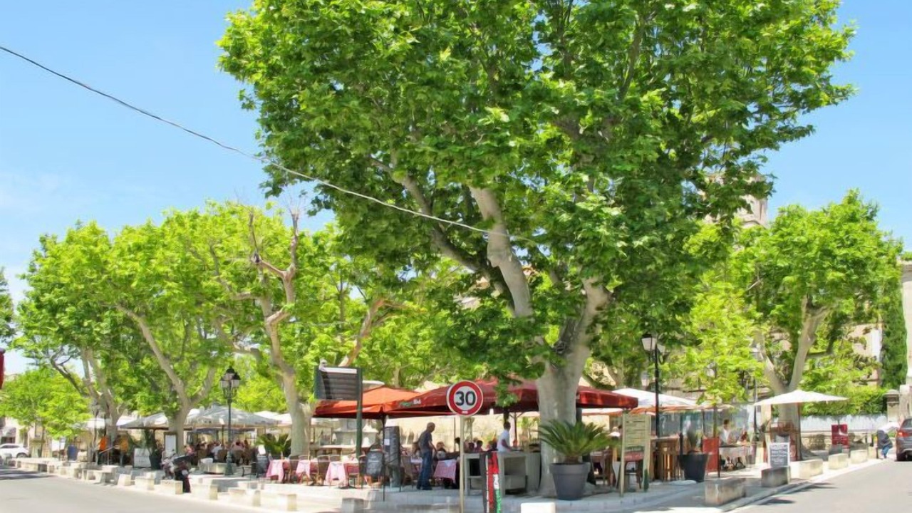 Photo of Outdoor in Paradou