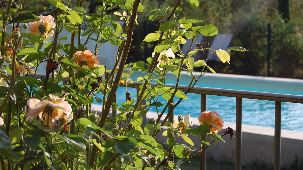 Photo of Outdoor in Cabannes