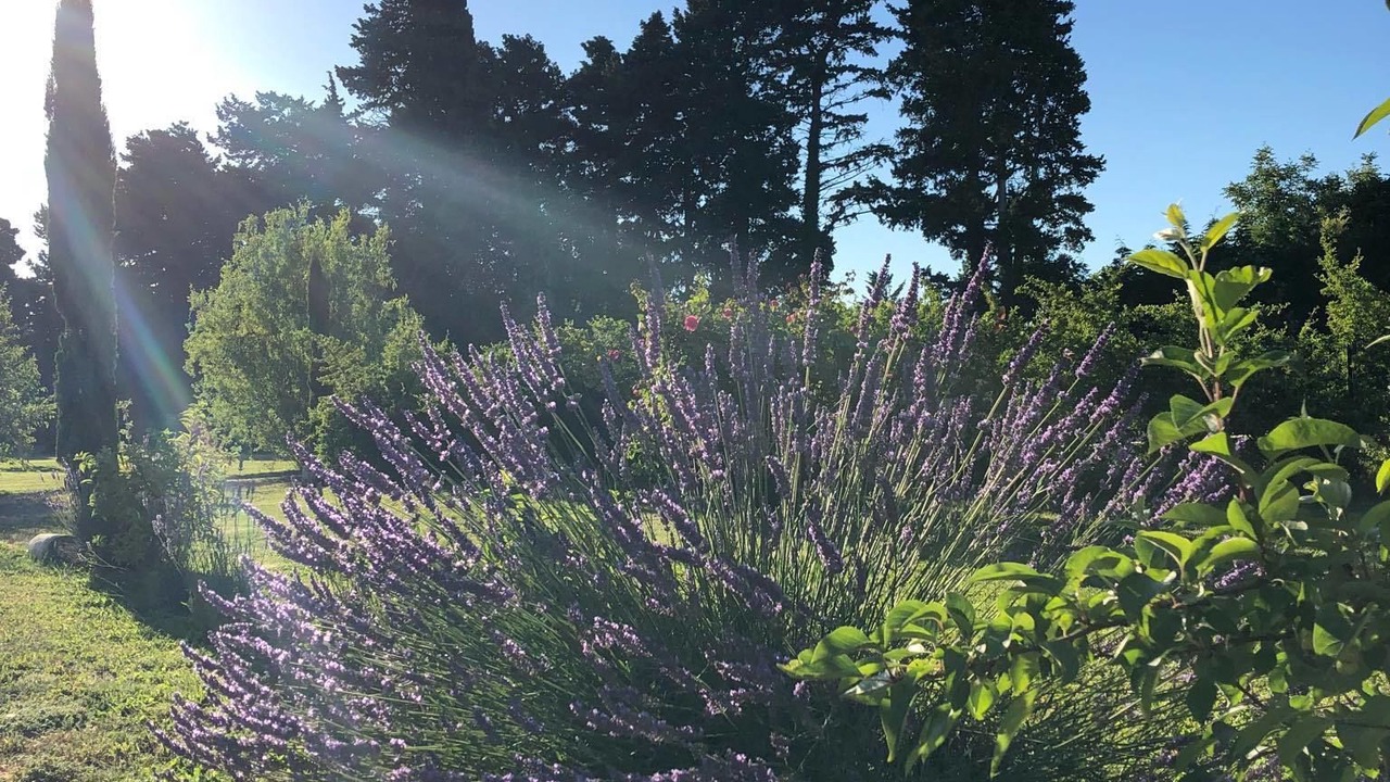 Photo of Outdoor in Cabannes
