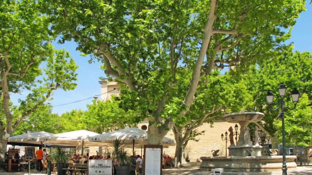 Photo of Outdoor in Paradou