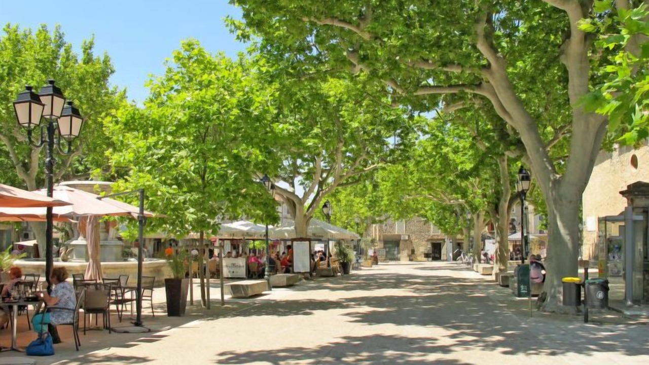 Photo of Outdoor in Paradou