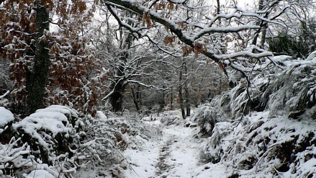 Photo of Outdoor in Zapardiel de la Ribera