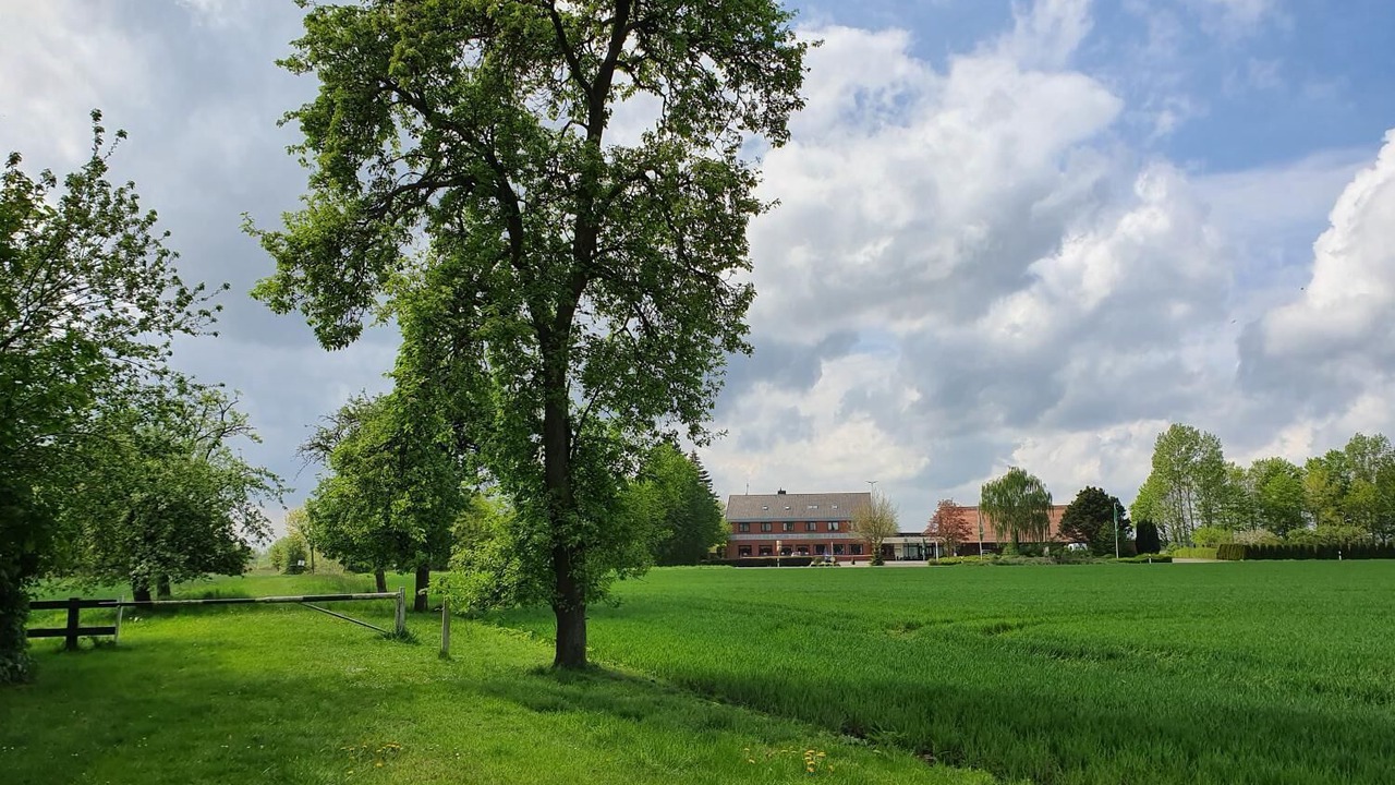 Photo of Outdoor in Steimke