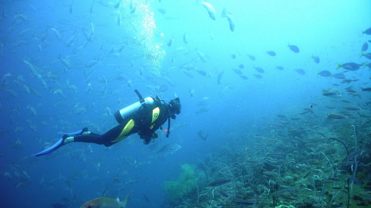 Photo of Others in Atlanterra