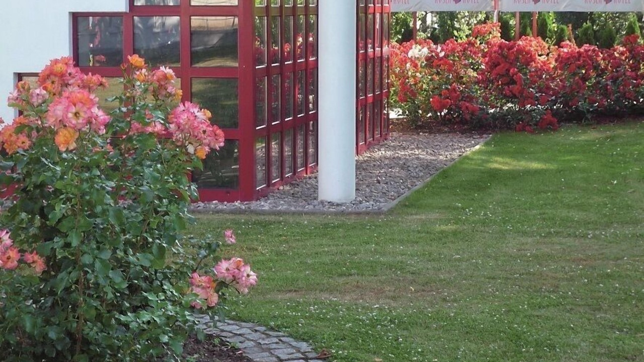 Photo of Outdoor in Sangerhausen