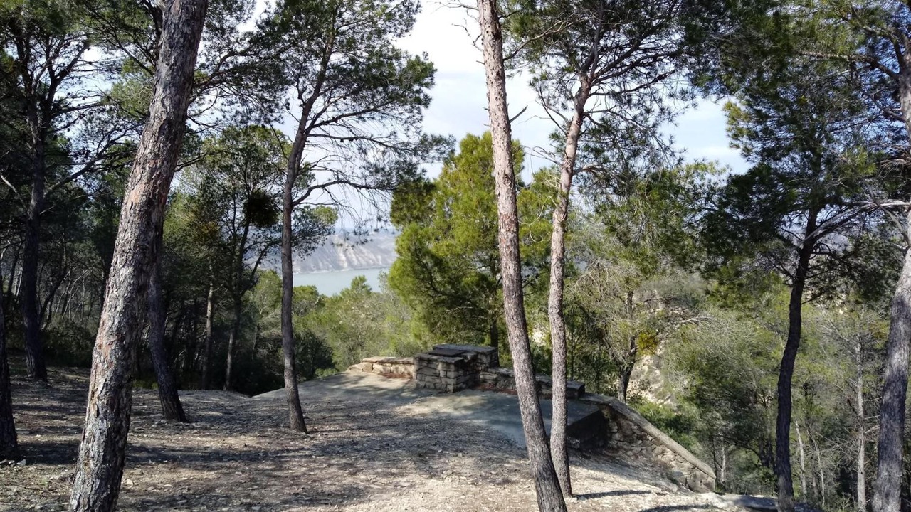 Photo of Outdoor in La Pobla de Massaluca