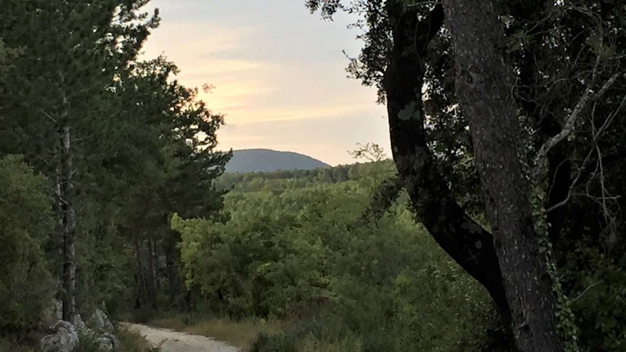 Photo of Outdoor in Aubussargues
