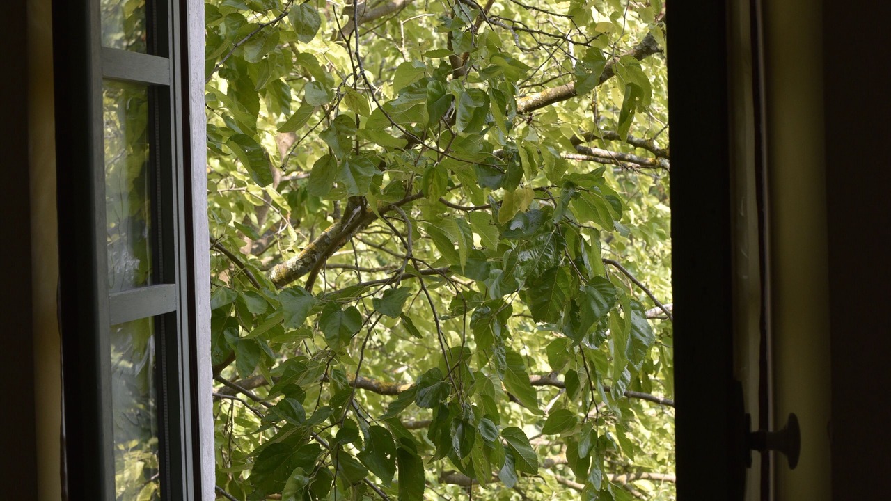 Photo of Bedroom in Aubussargues