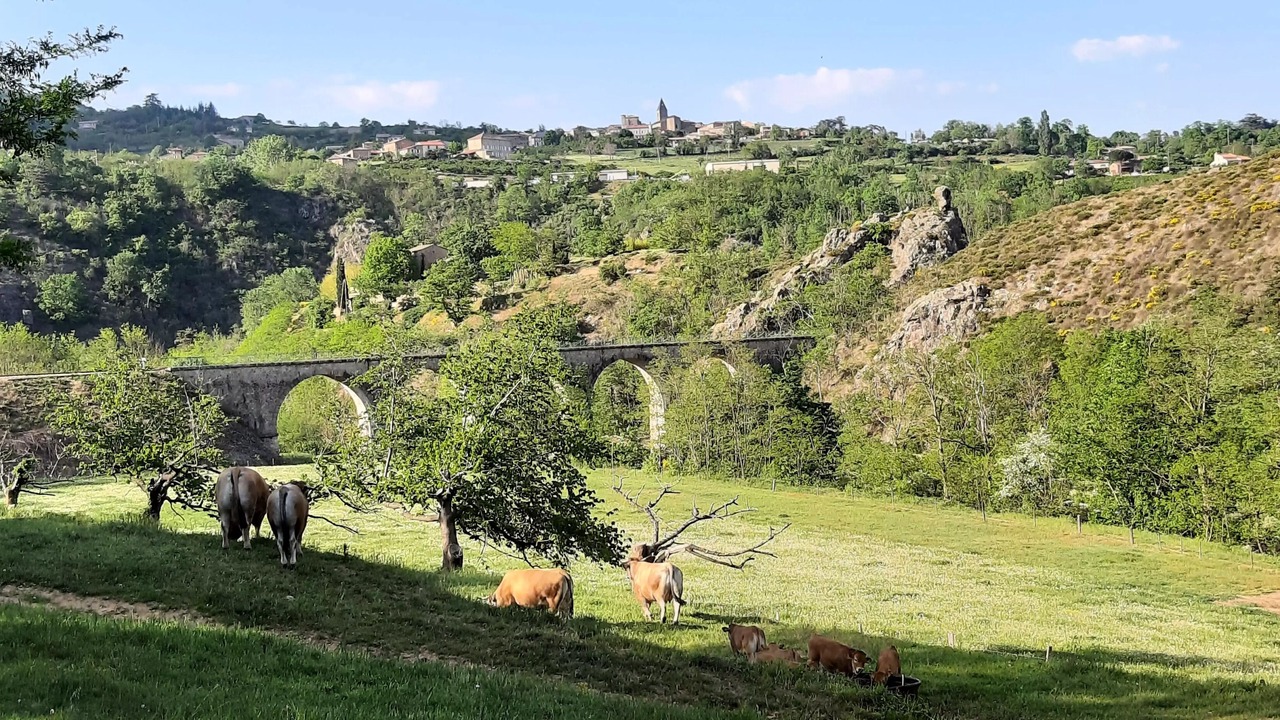 Photo of Outdoor in Arlebosc