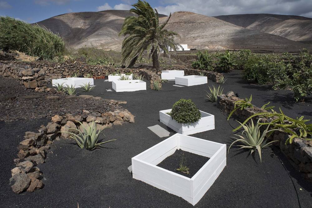 Photo of Outdoor in Haria