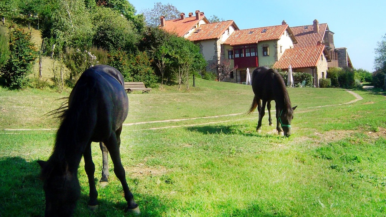 Photo of Outdoor in Puente Nuevo