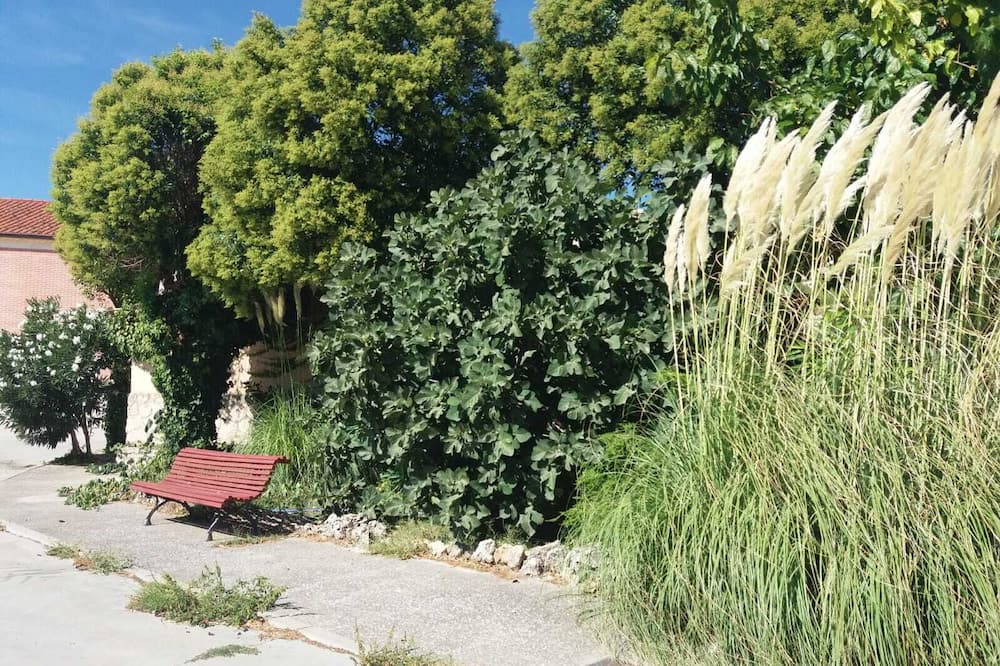 Photo of Outdoor in Velliza