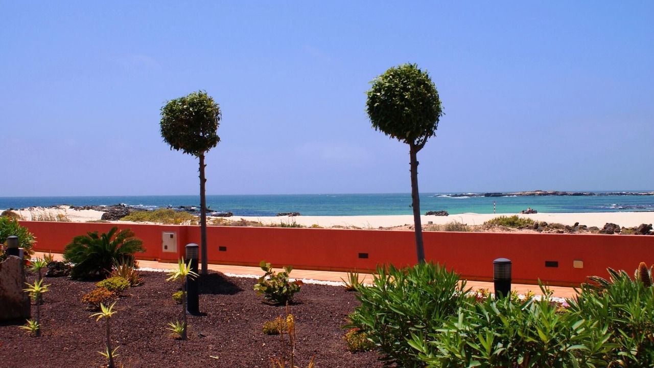 Photo of Others in Los Lagos
