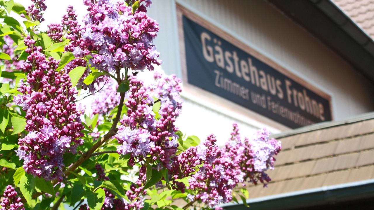 Photo of Outdoor in Hahnenklee