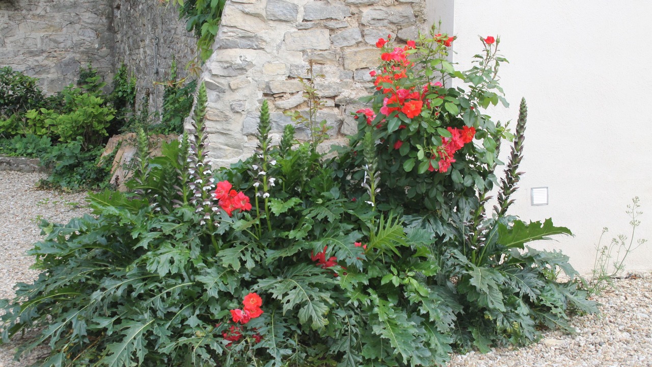 Photo of Outdoor in Saint-Gervasy