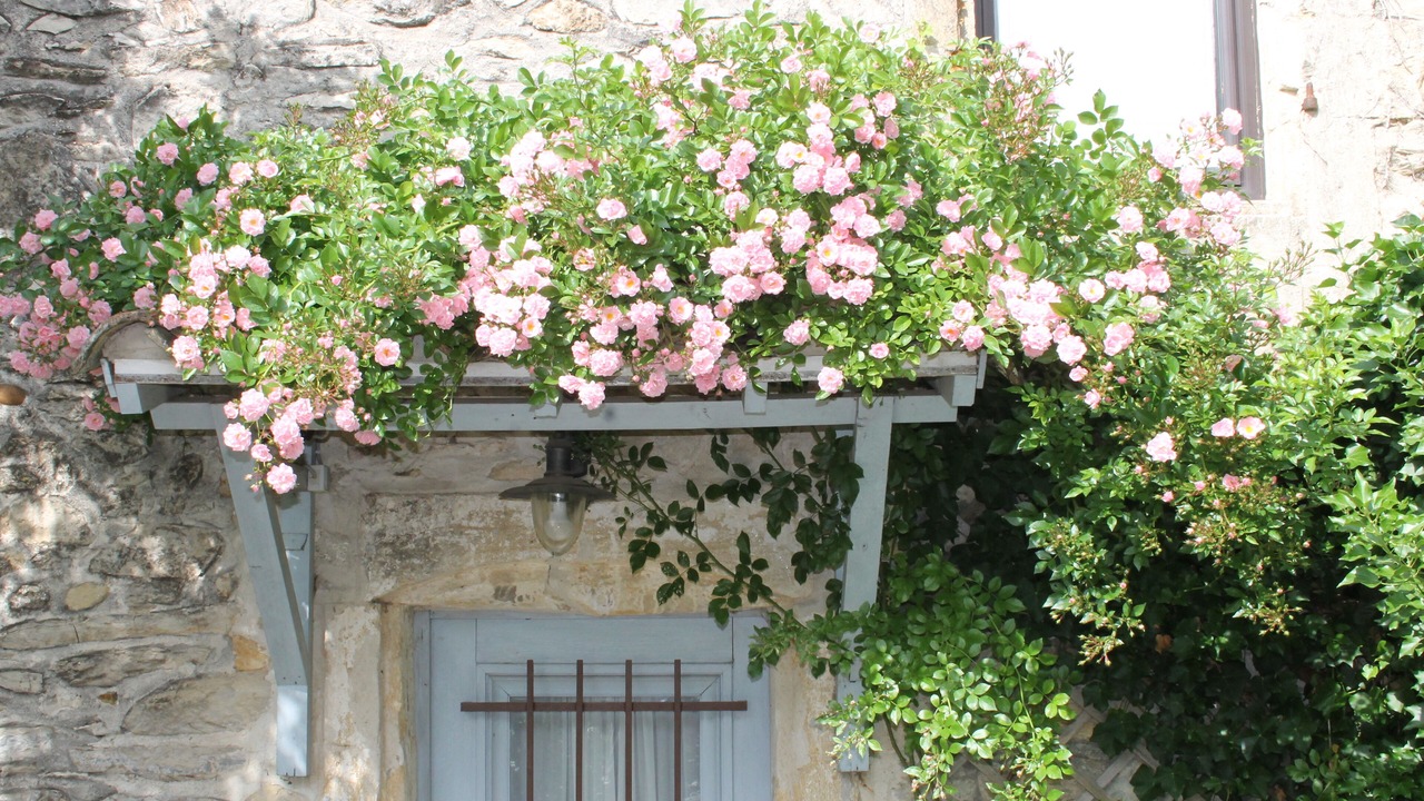 Photo of Outdoor in Saint-Gervasy