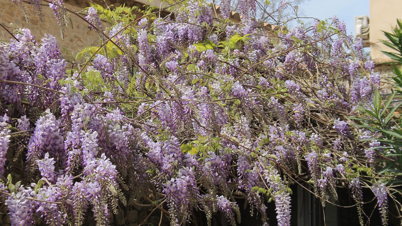 Photo of Outdoor in Saint-Gervasy