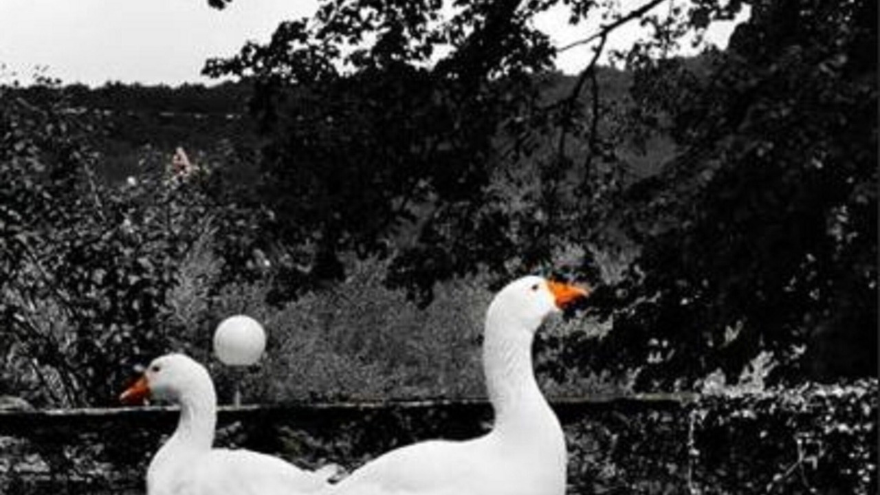 Photo of Outdoor in Terrasson-la-Villedieu