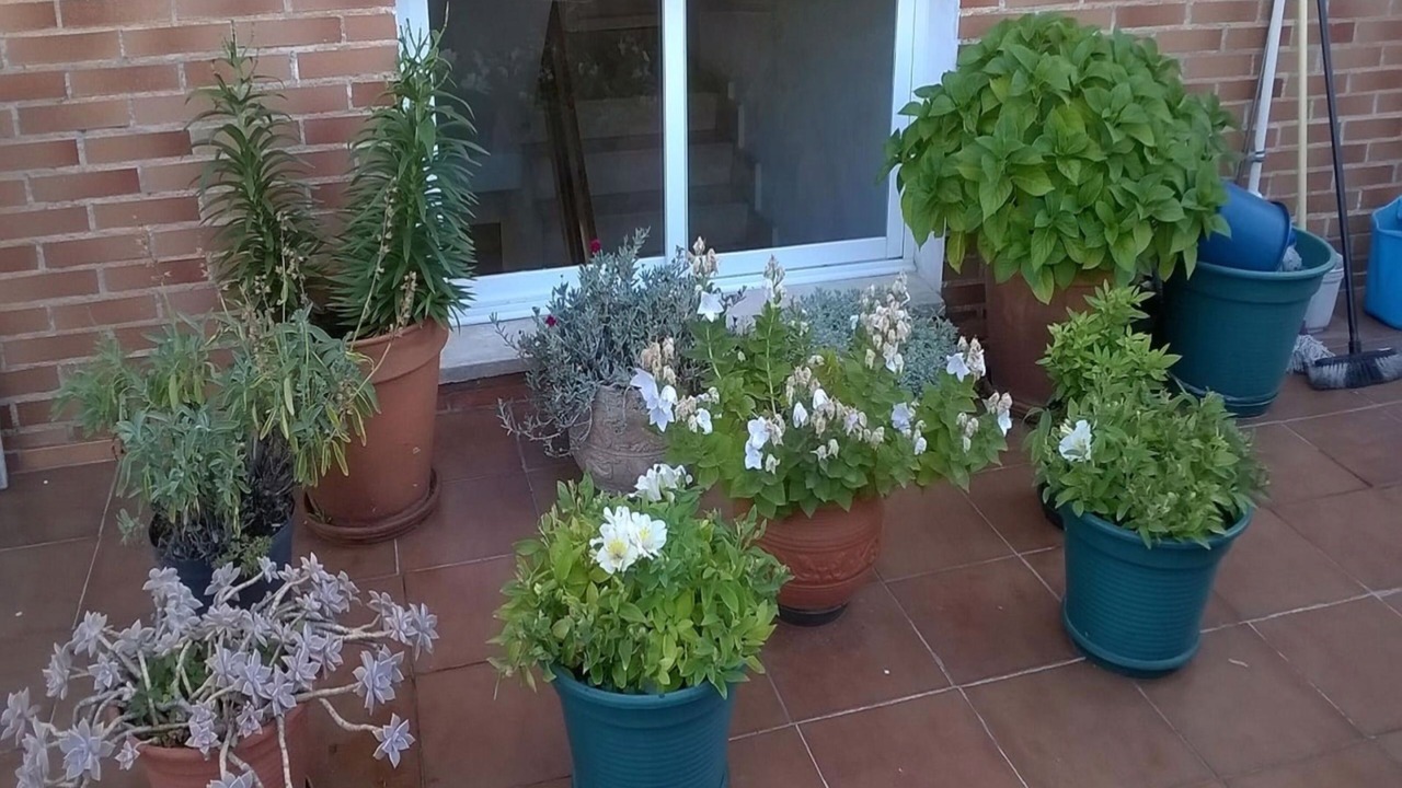 Photo of Patio Balcony in Miranda de Ebro