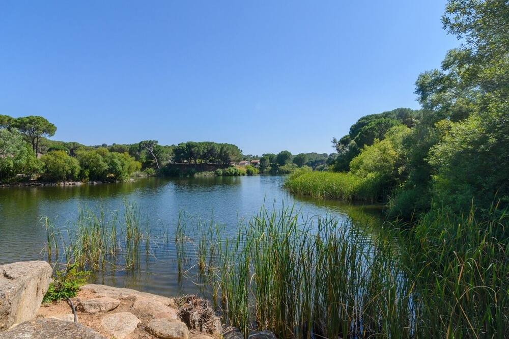 Photo of Outdoor in Las Jaras