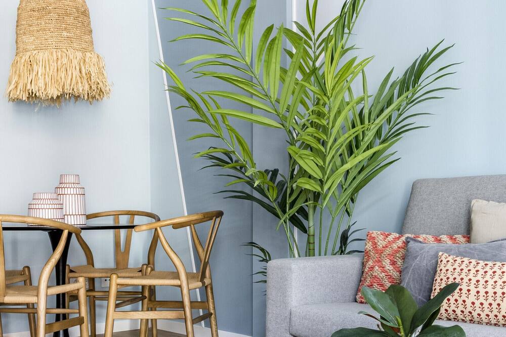 Photo of Livingroom in San Diego