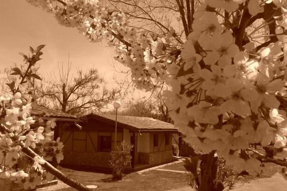 Photo of Outdoor in La Alberca