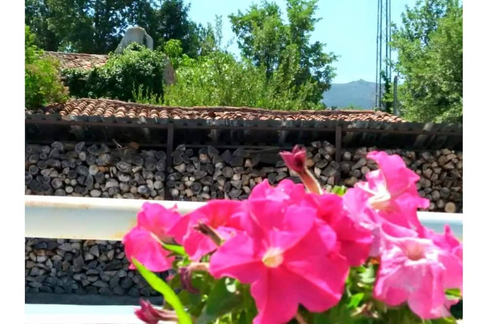 Photo of Outdoor in Navalmahillo